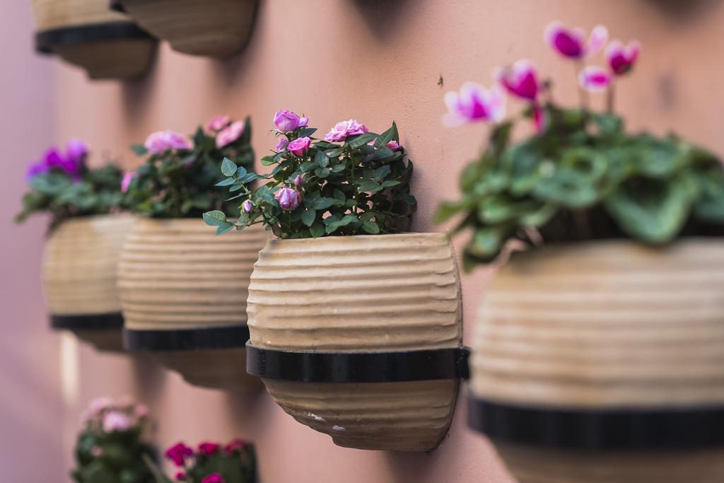 Sperveri Boutique Hotel Rhodes City エクステリア 写真